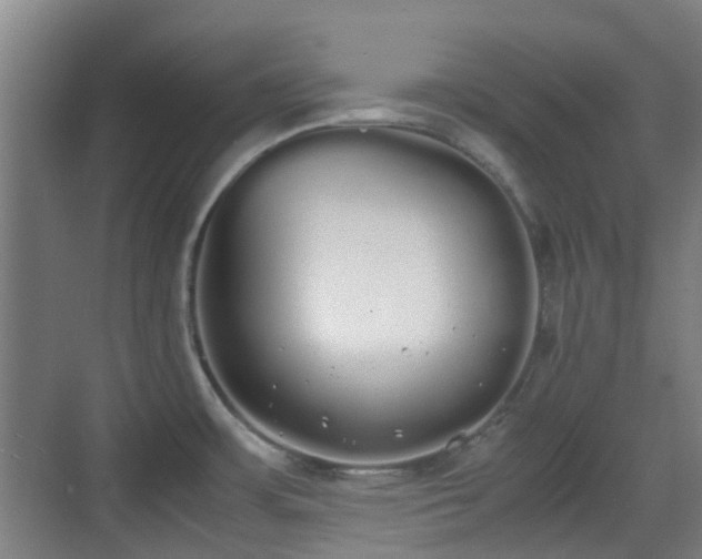 X0000070381483200606161331