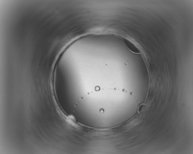 X0000070381486200606161331