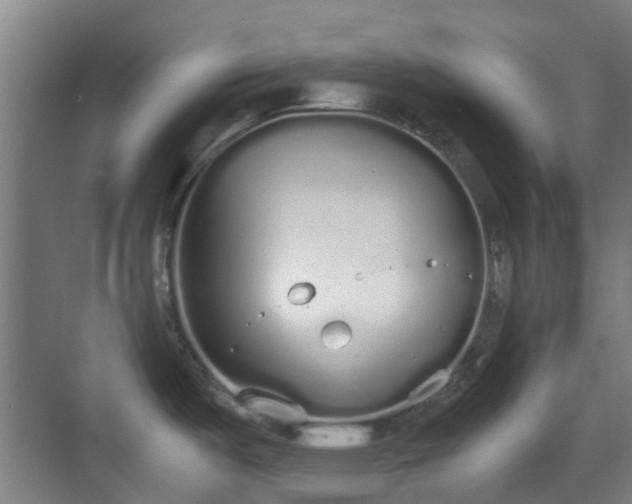 X0000070381487200606161331