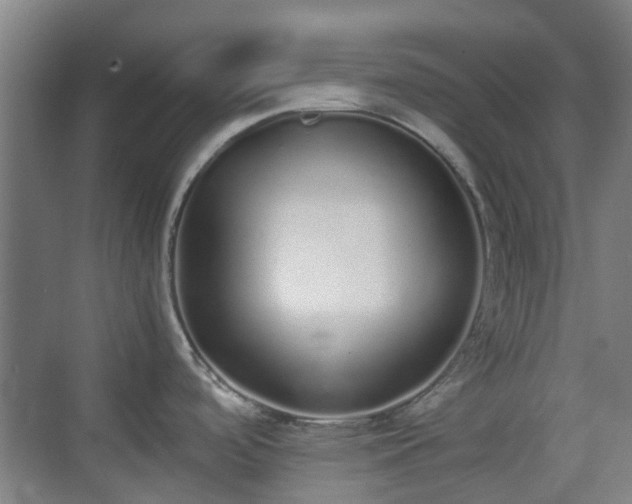 X0000070381488200606161331