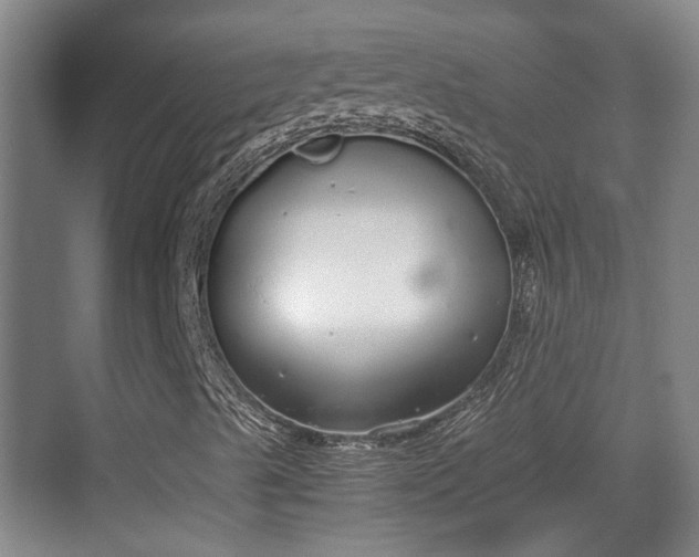 X0000070381489200606161330