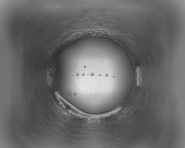 X0000070381491200606161330