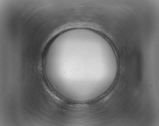 X0000070381498200606161330