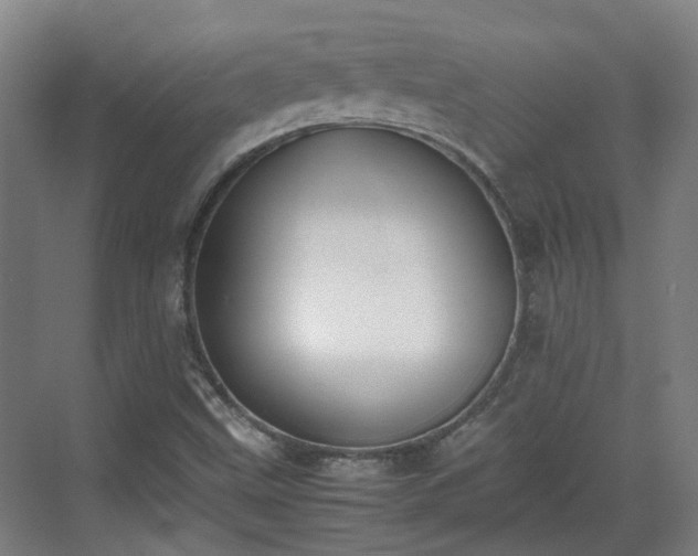 X0000070381499200606161330