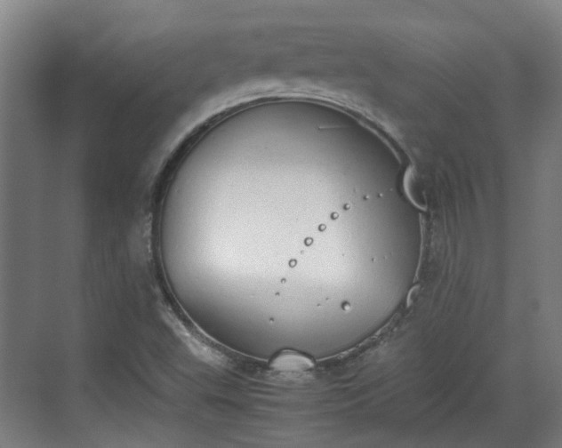 X0000070381503200606161330