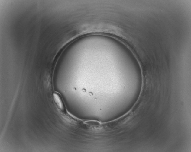 X0000070381505200606161330