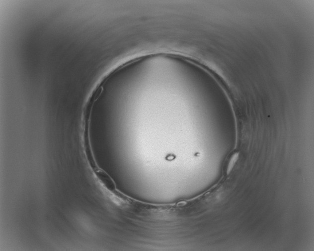 X0000070381508200606161330