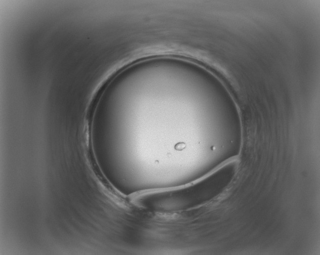 X0000070381509200606161330