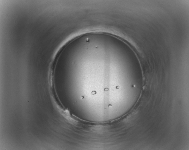 X0000070381510200606161330