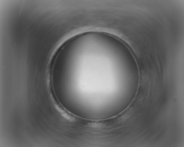 X0000070381511200606161330