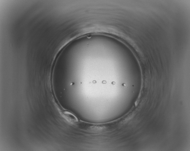 X0000070381513200606161330