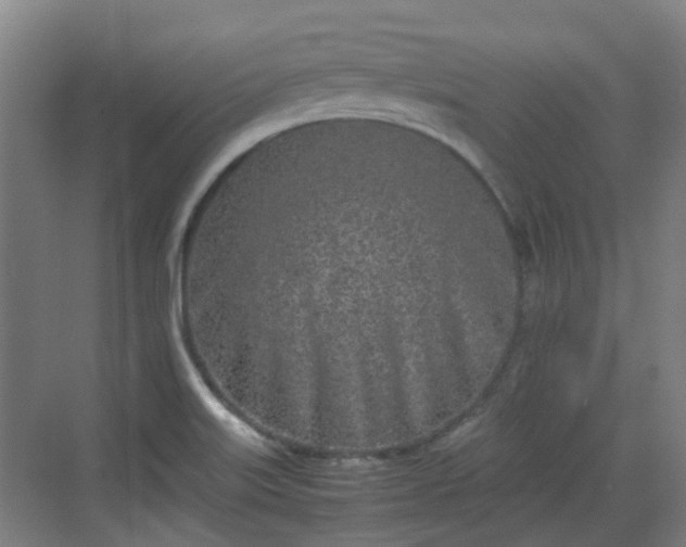 X0000070381515200606161330