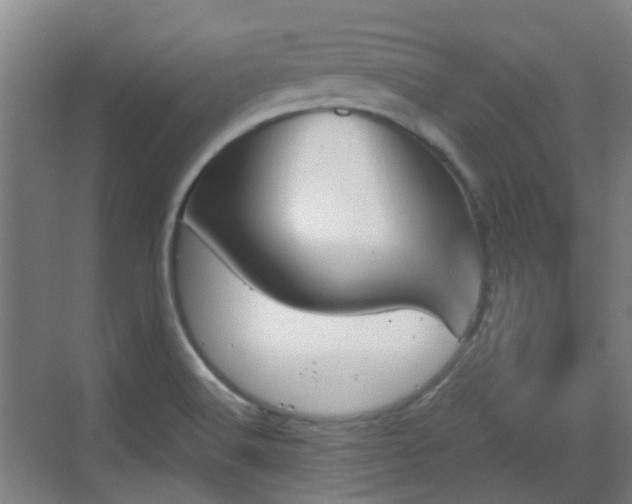 X0000070381516200606161330