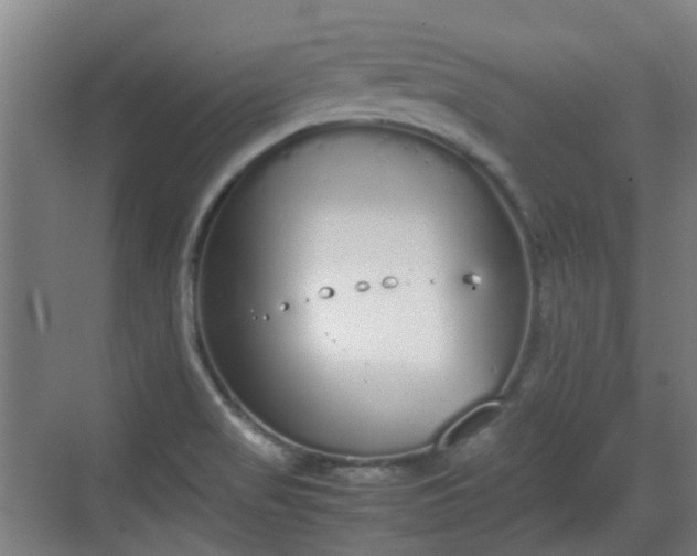 X0000070381517200606161330