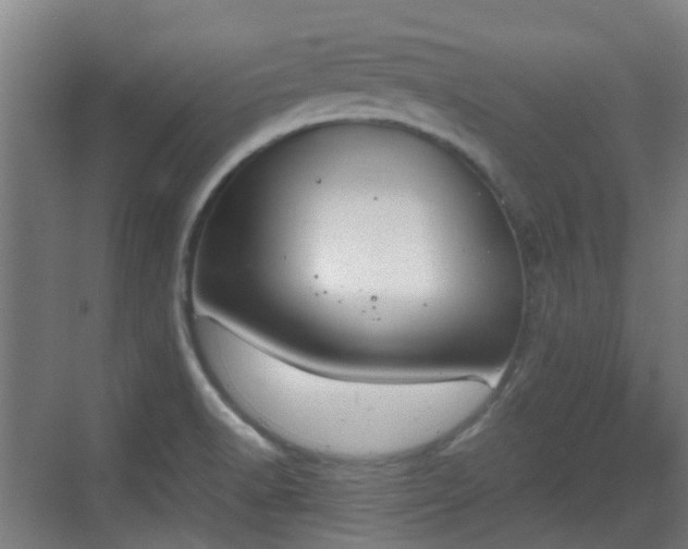 X0000070381518200606161330