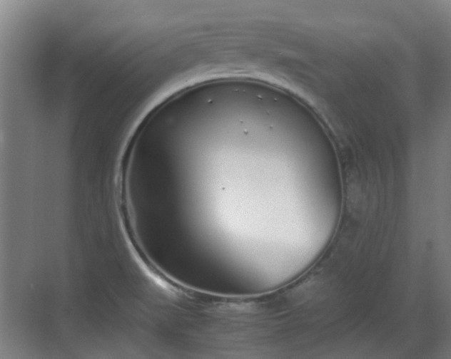 X0000070381519200606161330