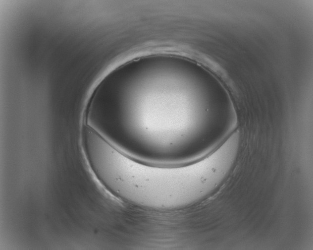 X0000070381520200606161331