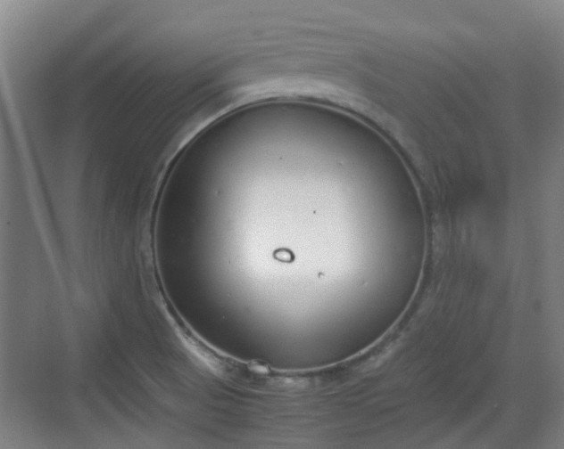 X0000070381521200606161331