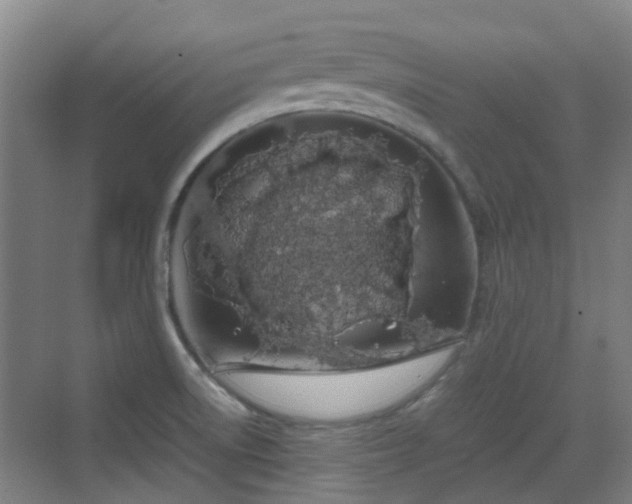 X0000070381522200606161331