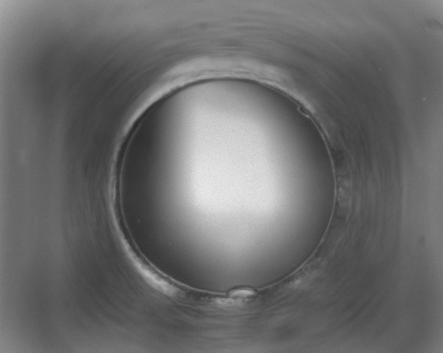 X0000070381523200606161331