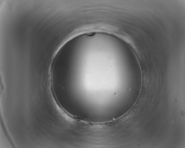 X0000070381524200606161331