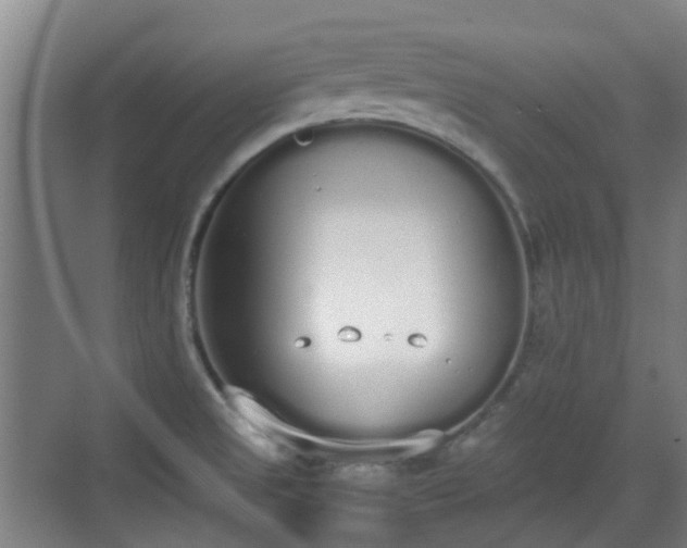 X0000070381525200606161331