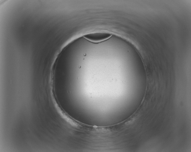 X0000070381526200606161331