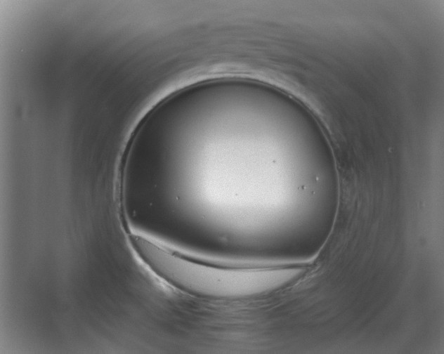 X0000070381527200606161331