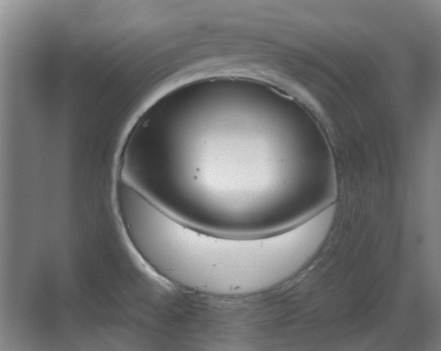 X0000070381528200606161331