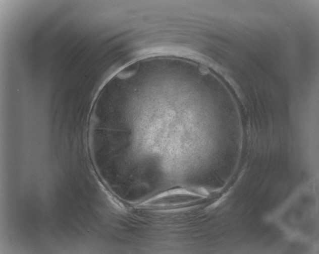 X0000070381529200606161331