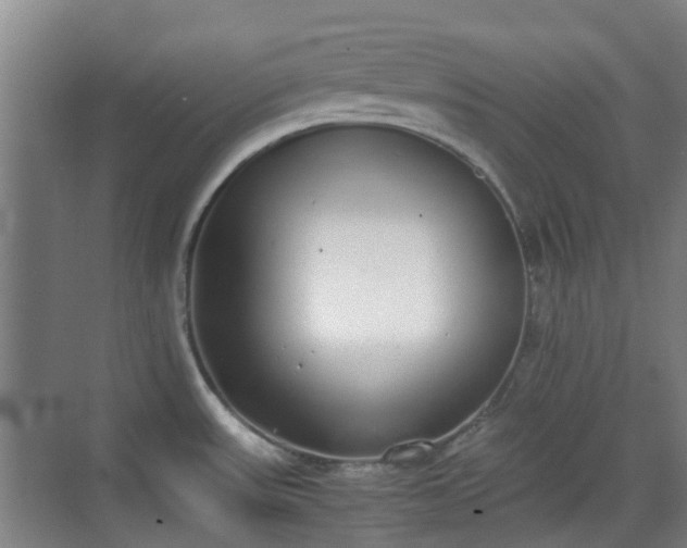 X0000070381531200606161331