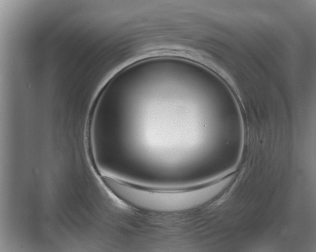 X0000070381533200606161331