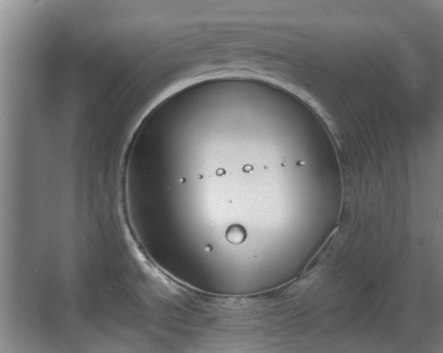 X0000070381534200606161331