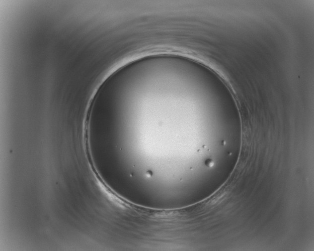 X0000070381535200606161331