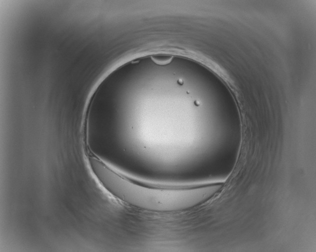 X0000070381536200606161331