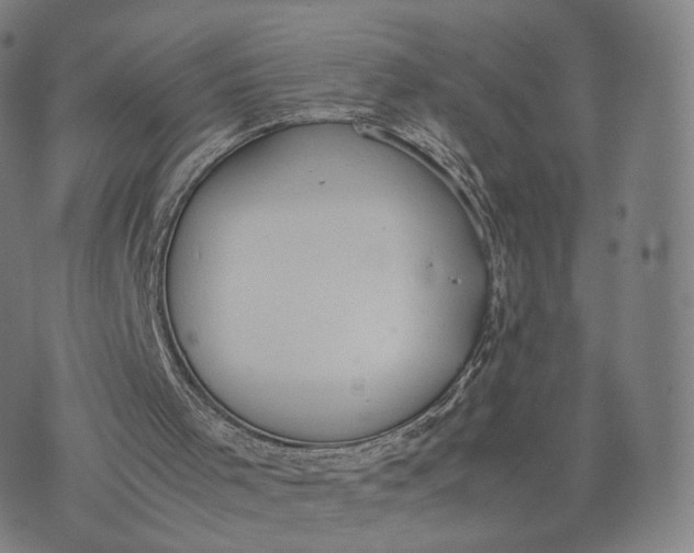 X0000070380001200606231724