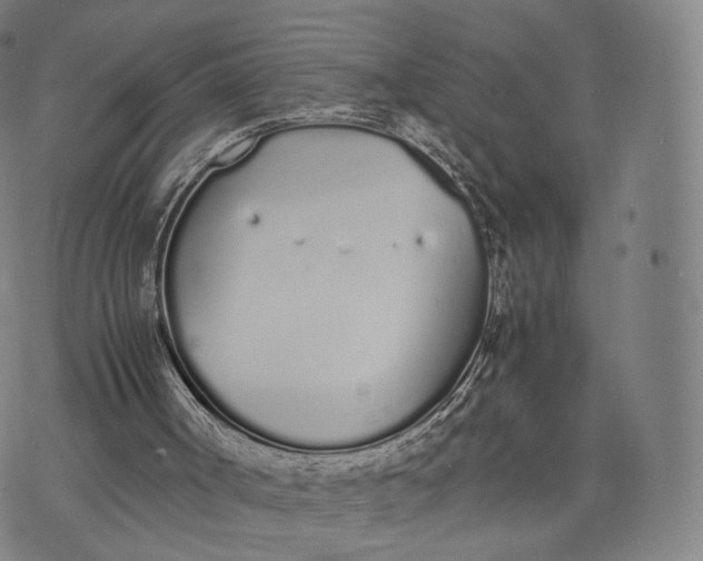 X0000070380002200606231724