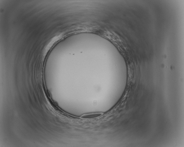 X0000070380003200606231724