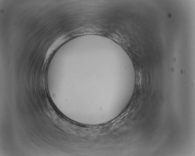 X0000070380004200606231724