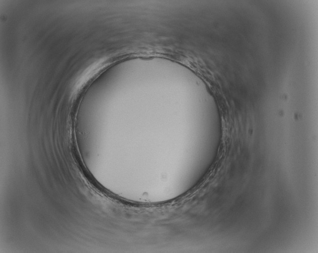 X0000070380005200606231724