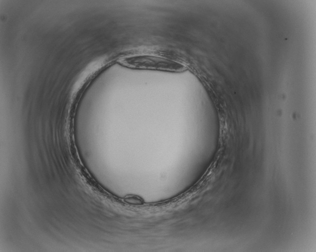 X0000070380006200606231724