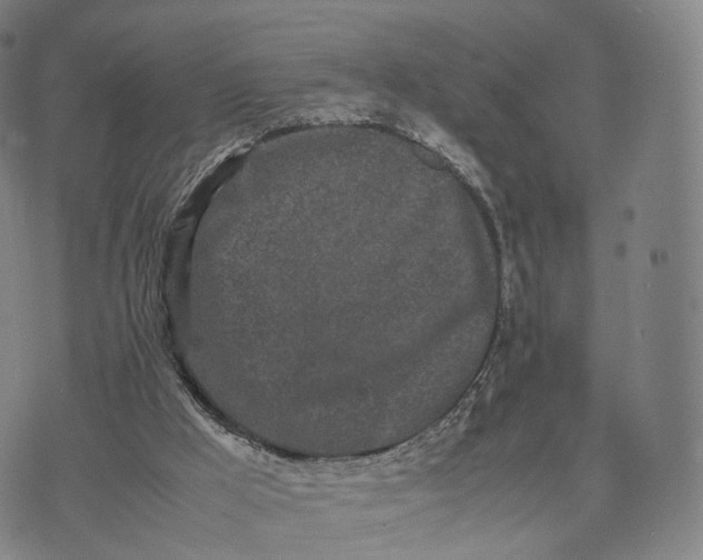 X0000070380009200606231724