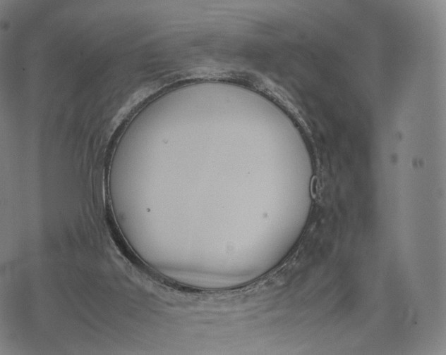 X0000070380011200606231724