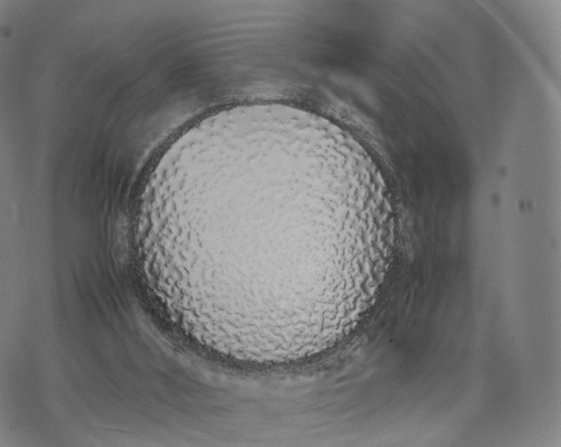 X0000070380012200606231724