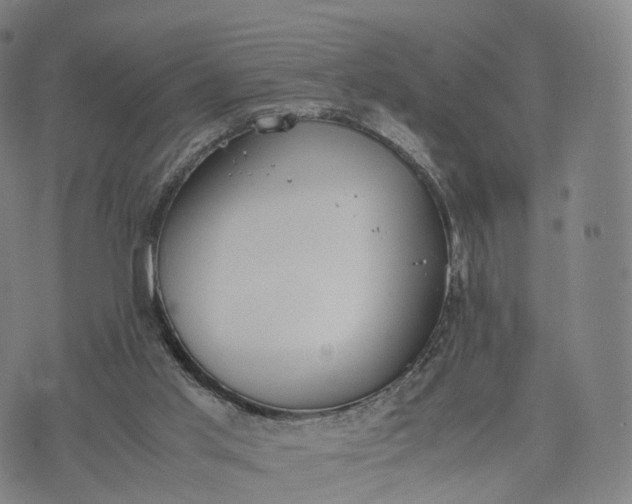 X0000070380013200606231724