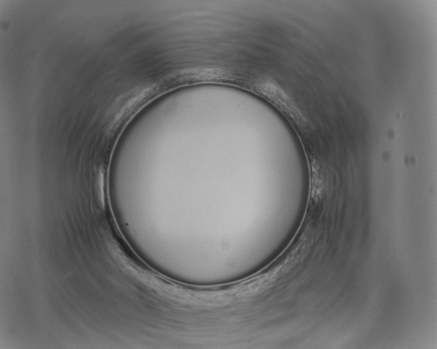 X0000070380014200606231724