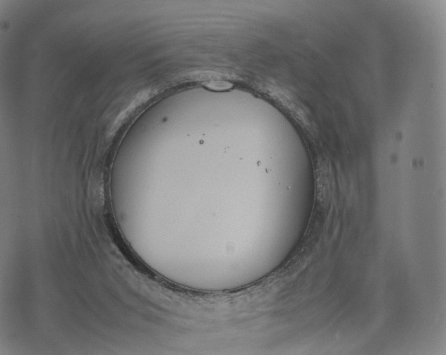 X0000070380015200606231724