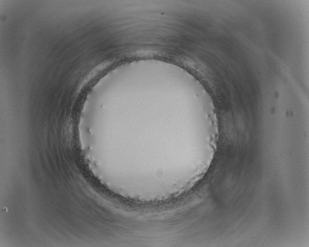 X0000070380016200606231724