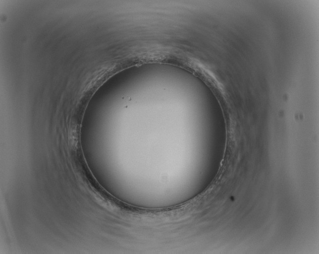 X0000070380017200606231724