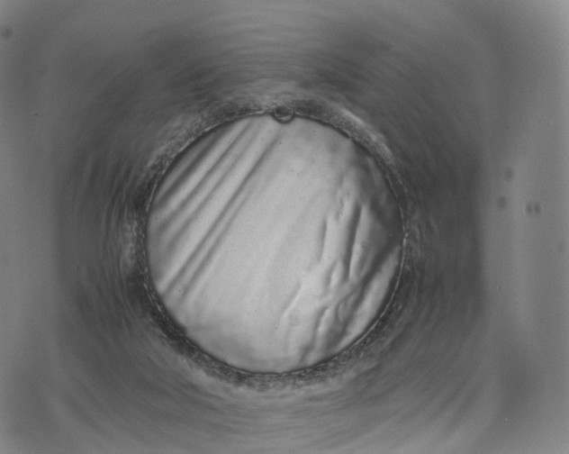 X0000070380018200606231724